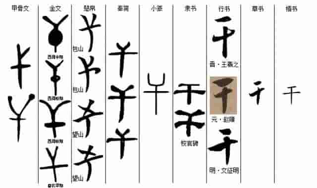 汉字历史——抽象篇（干）