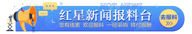 知网整改被指避重就轻，仍留灰色空间 专家：知网应回归公益初心