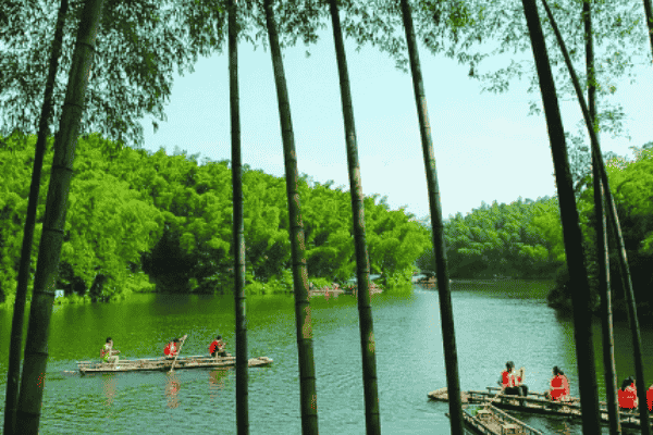 宜宾有一“网红”树海，8大景区134处景点，是《卧虎藏龙》拍摄地