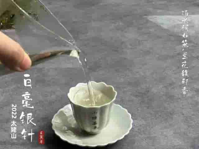 白茶这么绿，和绿茶有什么不同？老茶客：区别很大，看懂再买