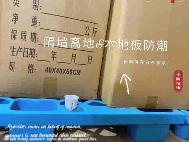 保存白茶不用放冰箱，教你4个方法延长保质期，放10年都不会坏