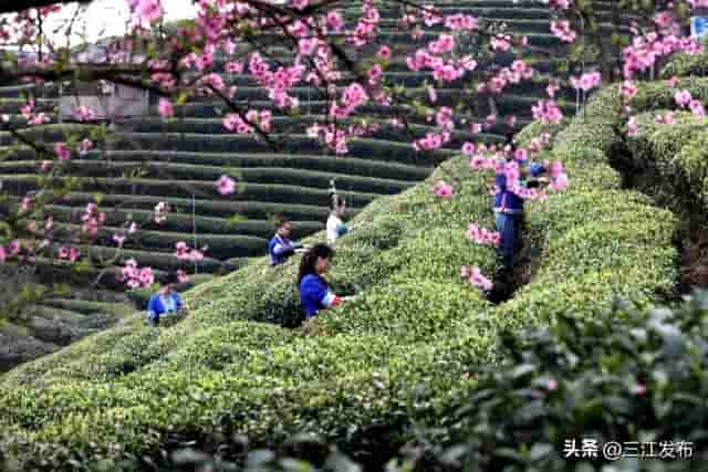 三江“三月三”“五一”文化旅游节庆活动新鲜出炉，等您来体验！