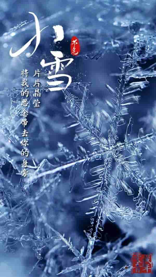 今日小雪！愿与你共白头……