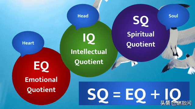 赵散闲：IQ智商，EQ情商，听过SQ“灵商”吗？