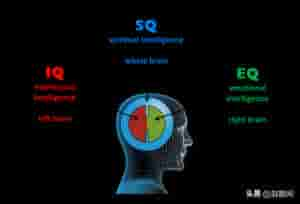 sq图片(赵散闲：IQ智商，EQ情商，听过SQ“灵商”吗？)