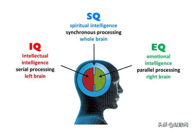 赵散闲：IQ智商，EQ情商，听过SQ“灵商”吗？