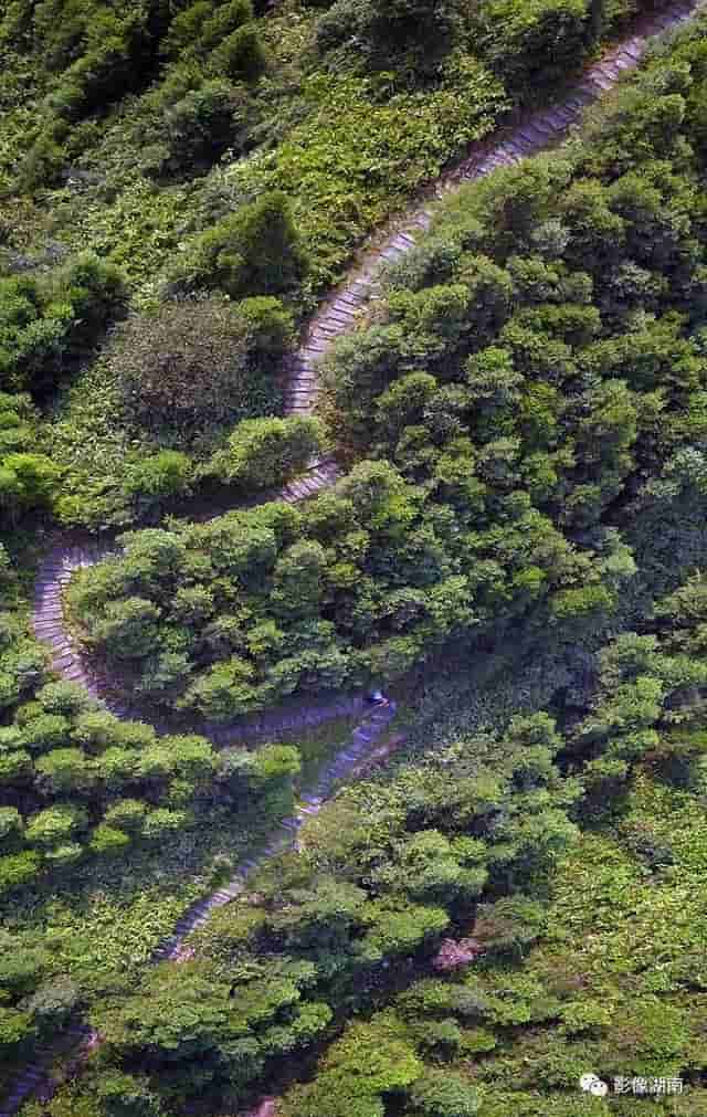 从安化出发，寻找茶马古道