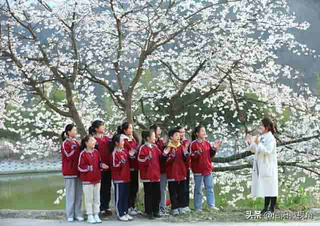 信阳市商城县：山花烂漫迎春来