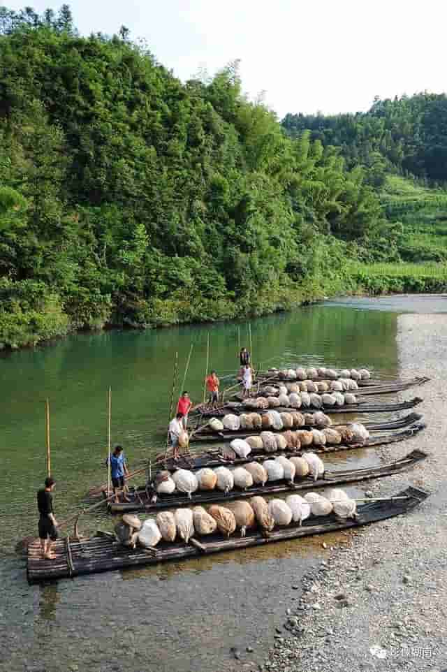 从安化出发，寻找茶马古道