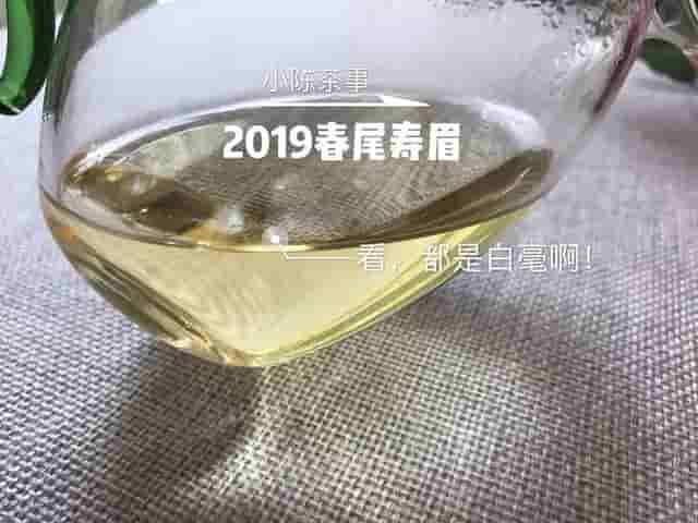 保存白茶不用放冰箱，教你4个方法延长保质期，放10年都不会坏