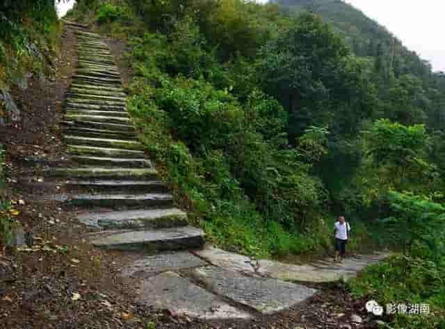 从安化出发，寻找茶马古道