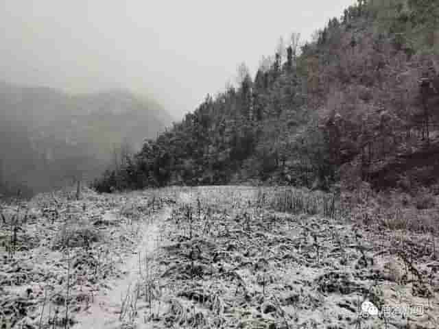 一场雪后，商洛最美山村雪景图来了，银装素裹，宛若仙境……