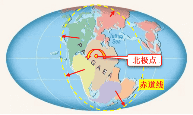 太多的历史巧合或许不再是巧合