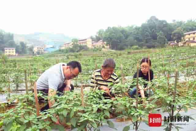 说出自己的脱贫故事——铜梁区华兴镇扶贫新亮点