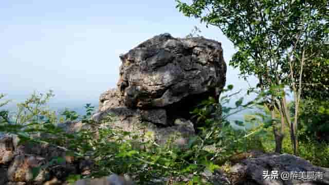 带你去寻找鸡鸣山上的“神鸡”