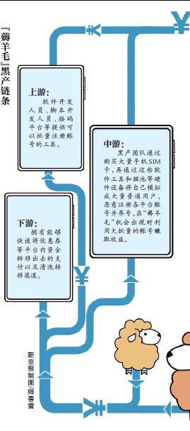 薅羊毛致网店破产？原来职业羊毛党是这样操作的