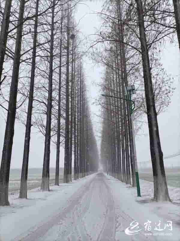 春风夏雨，秋霜冬雪！沭阳一位村民拍下村庄最美四季