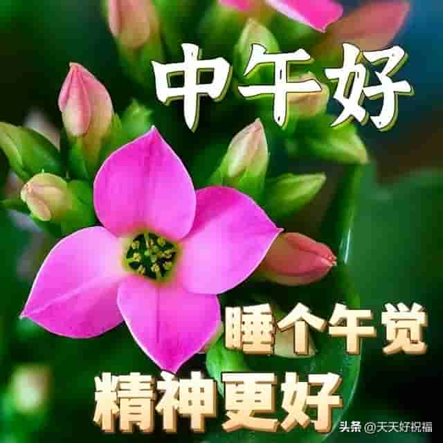 早上好清新聊天祝福图片 给您道声早，祝您心情妙，一天幸福乐逍遥