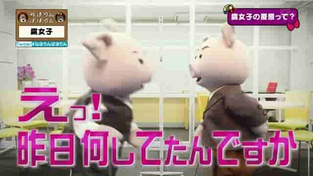 BL是心灵的自慰 - NHK“ねほりんぱほりん”节目介绍腐女的生态