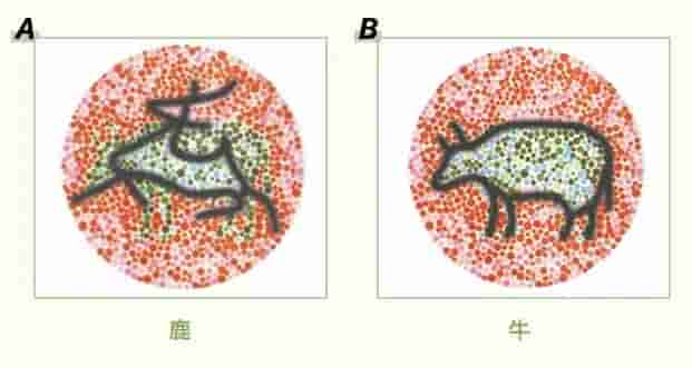 4张测试图，1分钟就知道眼睛是否健康