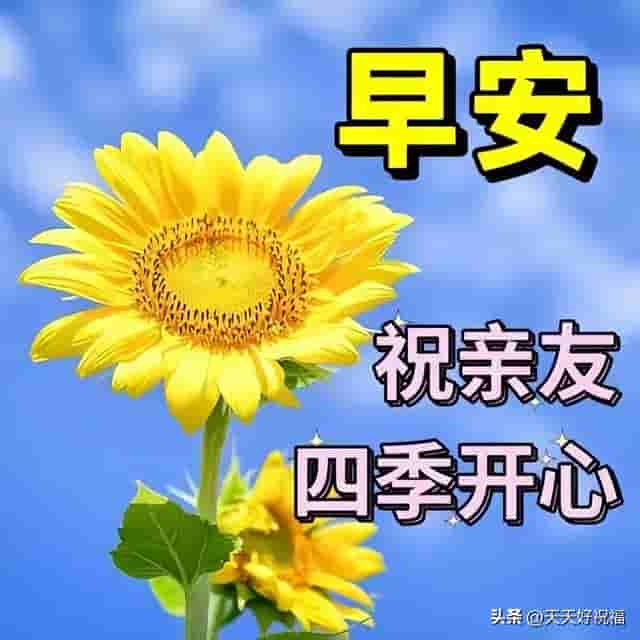 早上好清新聊天祝福图片 给您道声早，祝您心情妙，一天幸福乐逍遥