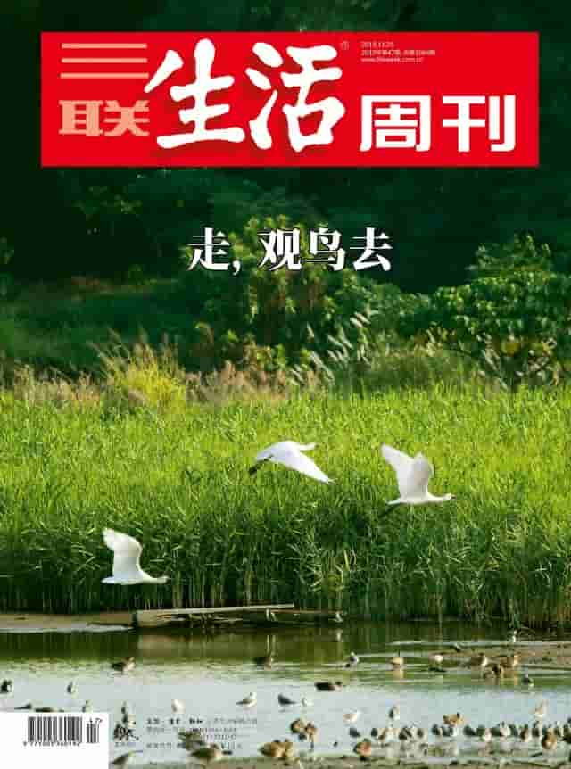 当大部分北京人低头走路、看手机时，这样一群人却昂起头去关注那个鸟类组成的野性北京