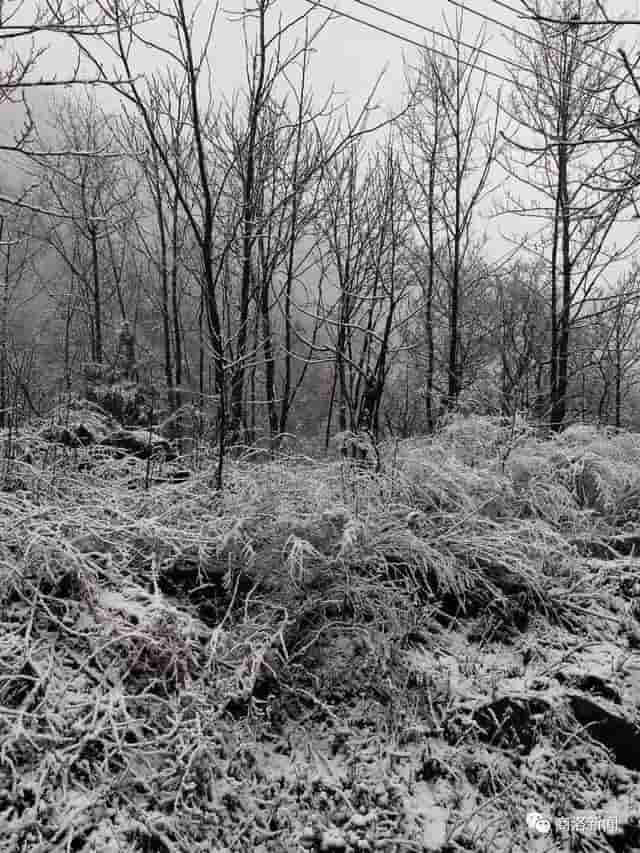 一场雪后，商洛最美山村雪景图来了，银装素裹，宛若仙境……