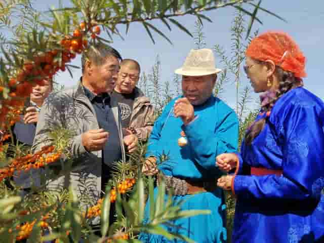 廷懋，蒙古族，1955年开国将军，儿子怎么成为地地道道牧民？