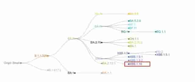 新冠变种病毒XBB.1.16在全球多国肆虐。