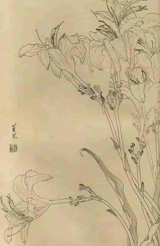 50幅花卉白描画图谱，难得一见的好资料