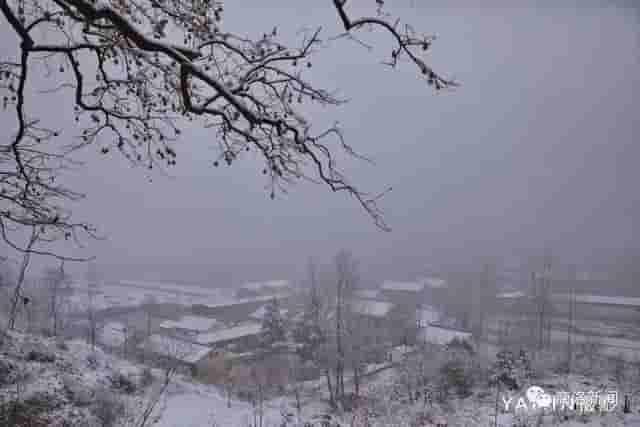 一场雪后，商洛最美山村雪景图来了，银装素裹，宛若仙境……