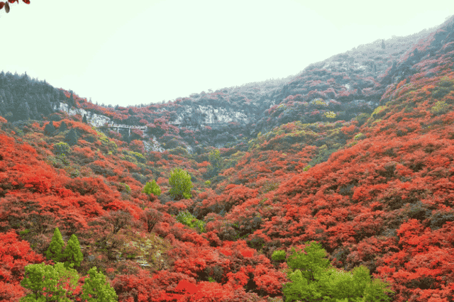 壬寅年诗词选｜孤山梅雨2022年词集百首