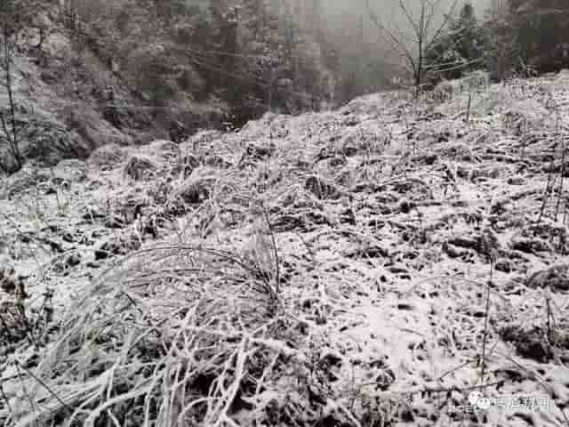 一场雪后，商洛最美山村雪景图来了，银装素裹，宛若仙境……