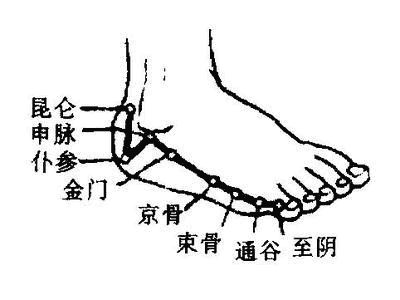 揉揉 5大保健穴，强身又健体