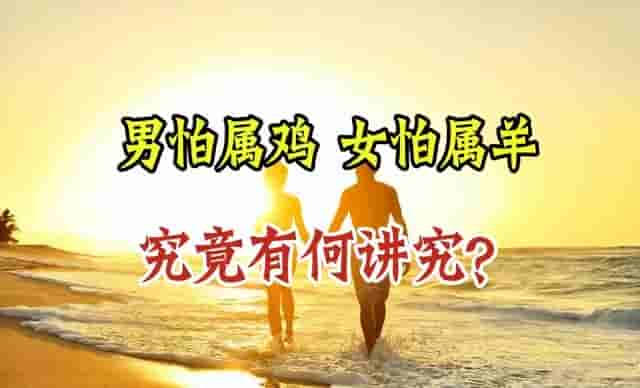 “男怕属鸡，女怕属羊”，其中究竟有何讲究？老祖宗说得在理吗