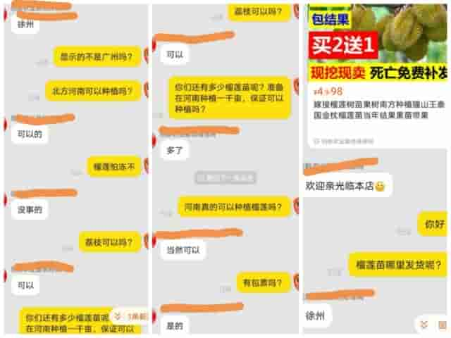 网上的假苗既坑农又误农，如何避免？今天教大家如何辨别假苗商家