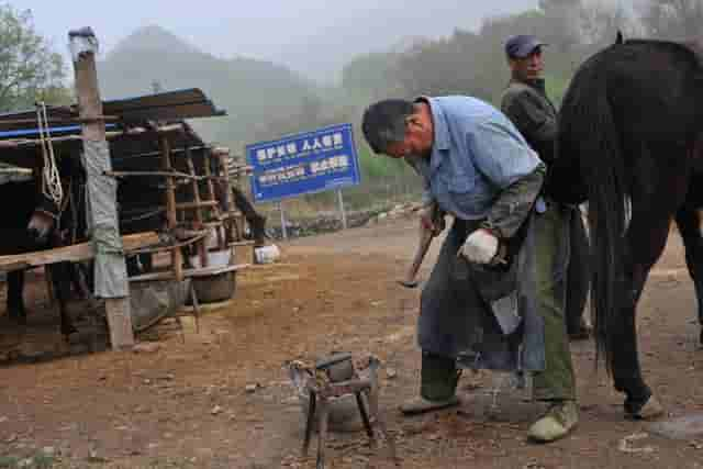 修缮古长城，贡献“中国智慧”