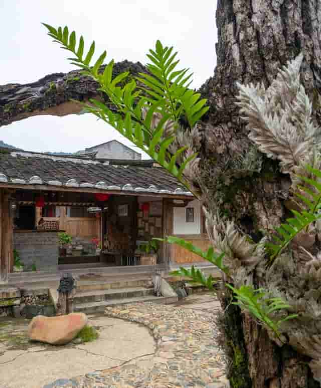 美丽乡村·福建半山村：原来“垃圾坑”也能变成“明星村”