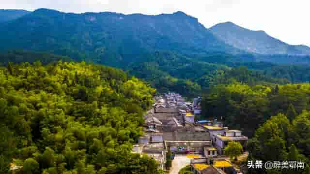 带你去寻找鸡鸣山上的“神鸡”