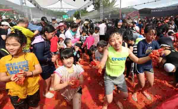 韩国华川西红柿节狂欢嗨翻天 民众番茄海中“捞”戒指