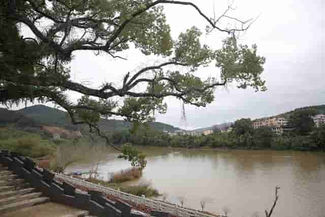 美丽乡村·福建半山村：原来“垃圾坑”也能变成“明星村”