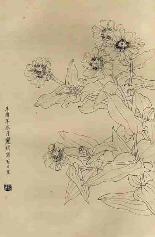 50幅花卉白描画图谱，难得一见的好资料