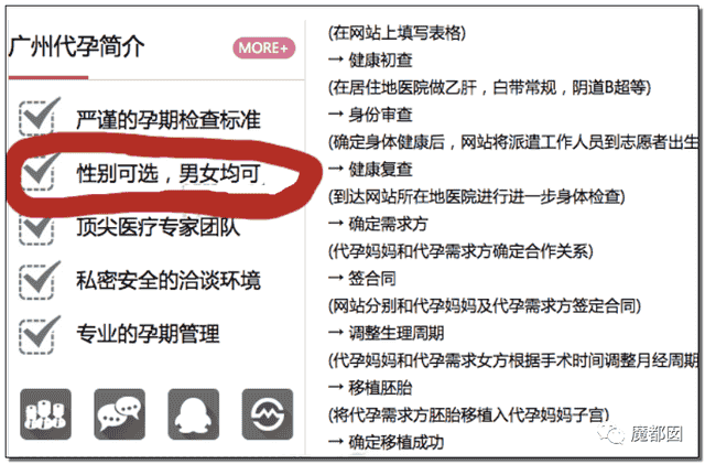 纽约代孕合法化，女性子宫被明码标价：世界本没有人生来比谁低贱