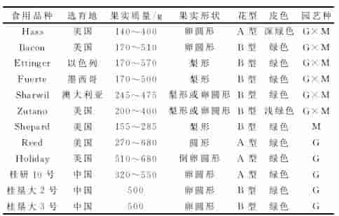 靠营销手段上位的牛油果，适合哪些地方种植，如何种植？