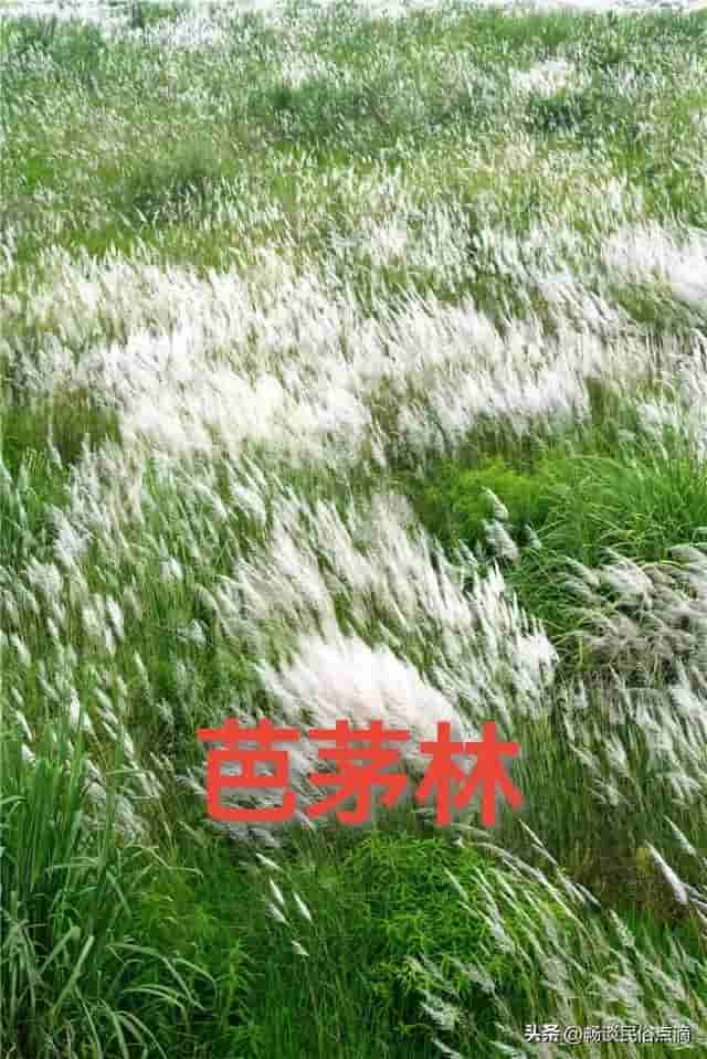 8月23日处暑节气，天气还酷热吗？看看老祖宗留下的谚语，怎么说