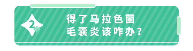 痤疮or毛囊炎？孩子身上这种痘到底是啥？一张图帮你分辨