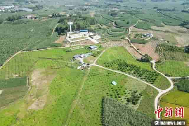 六旬台商“登陆”广西：觅得一方“宝地”倾尽毕生所学