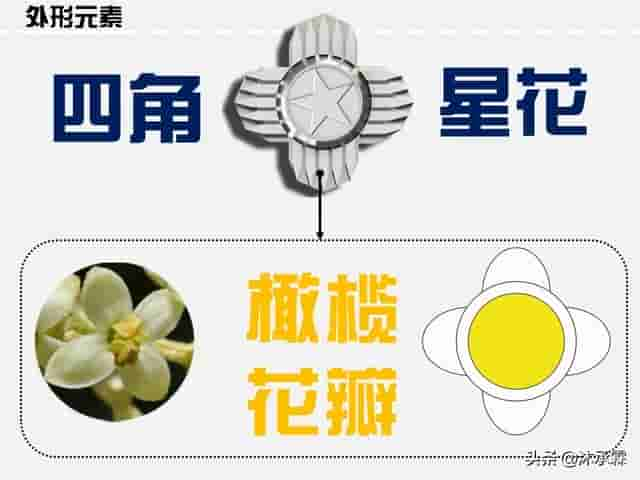 警衔上的“花”有什么含义？探讨我国99式警衔肩章上的四角星花