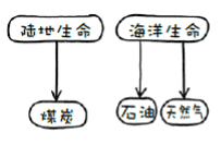 在人类历史的哪一个阶段，书多到一个人一生都无法全部读完？