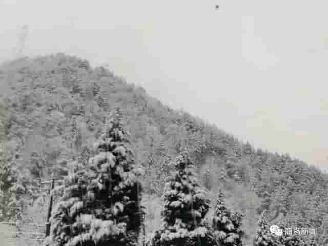 一场雪后，商洛最美山村雪景图来了，银装素裹，宛若仙境……